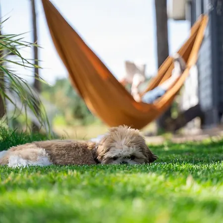 Albertowka - Strefa Relaksu *