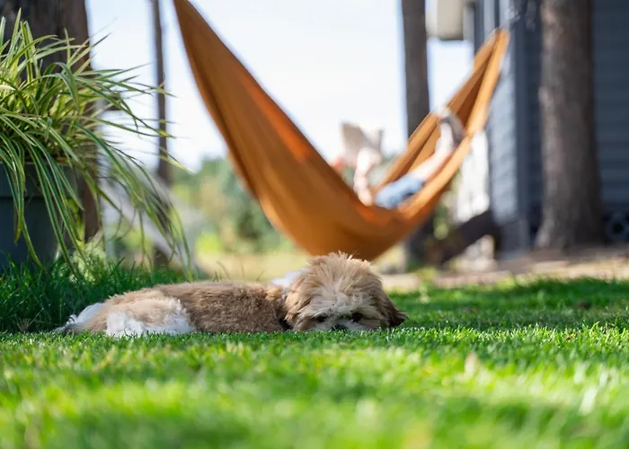 Albertowka - Strefa Relaksu *